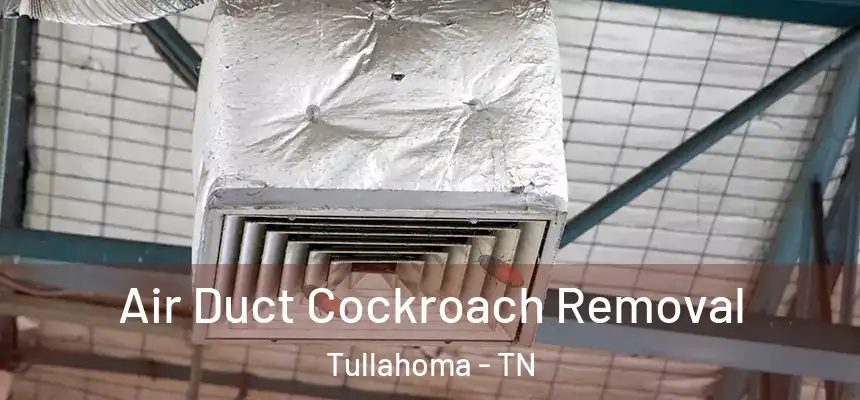  Air Duct Cockroach Removal Tullahoma - TN