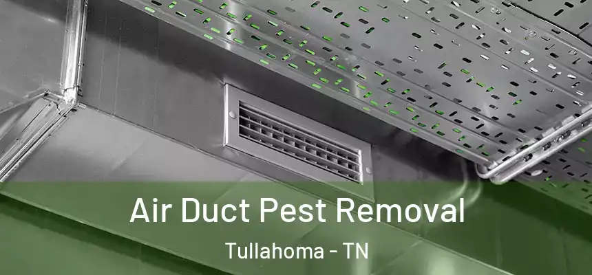  Air Duct Pest Removal Tullahoma - TN