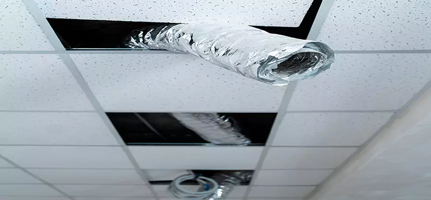 Our Air Duct Pet Hair Removal Services in Tullahoma, TN