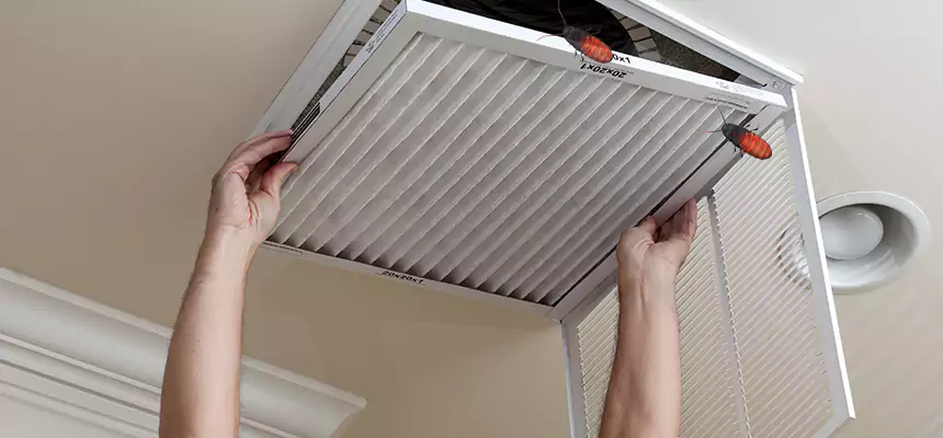 Our Insect Removal from Air Ducts Services in Tullahoma, TN