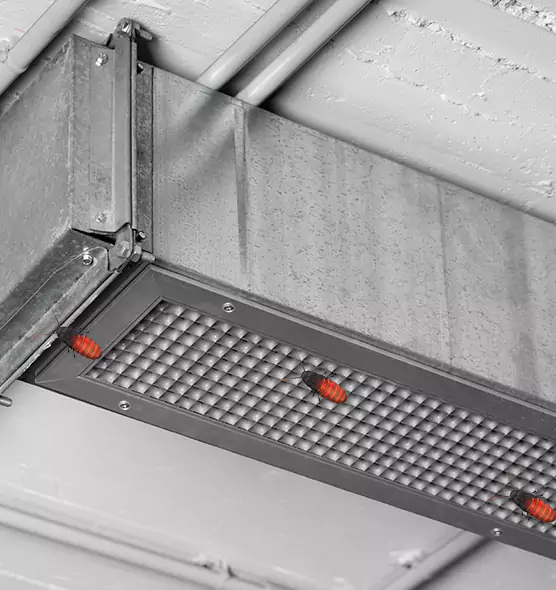 About Air Duct Cockroach Removal in Tullahoma, TN