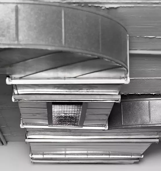 Professional Air Duct Pest Removal in Tullahoma, TN